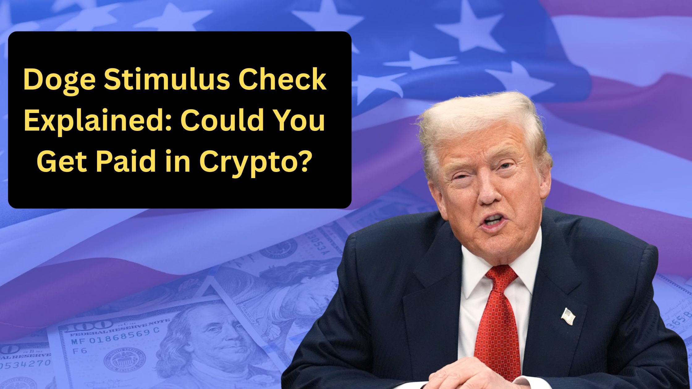 Doge Stimulus Check